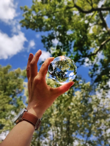 Earth carbon offsets