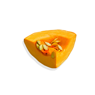 pumpkin seed protein