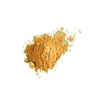 pumpkin powder